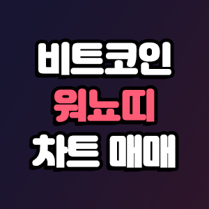  비트코인 워뇨띠 차트 매매 방법 정리