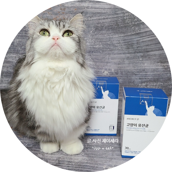김명철 수의사도 믿고 먹이는 프로젝트21 고양이유산균으로 고양이 건강 챙겨주세요.