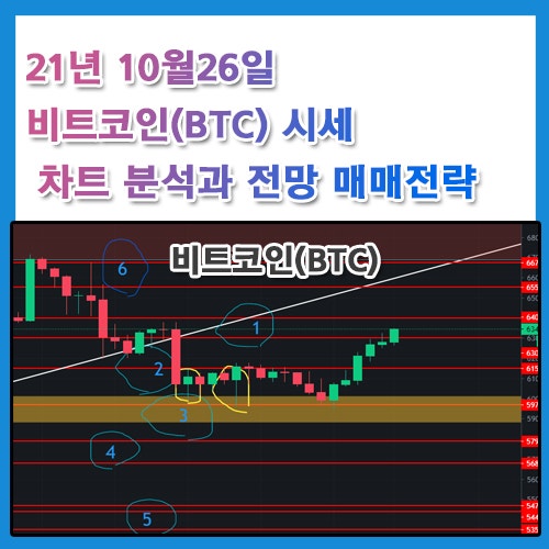 비트코인 시세