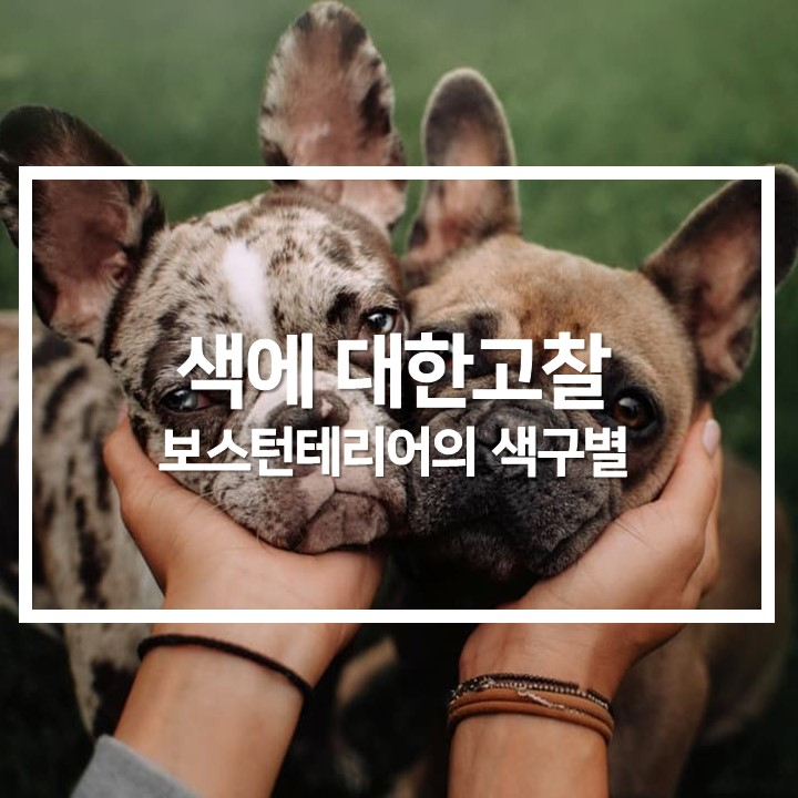  색에 대한 고찰