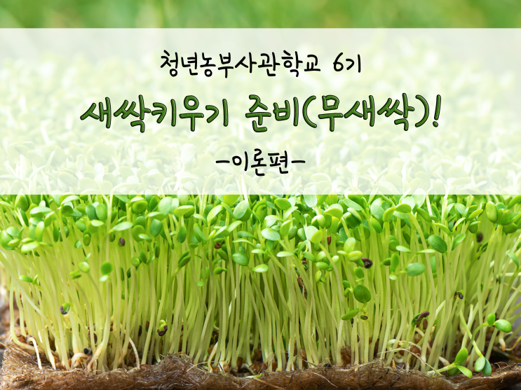  새싹키우기 준비하는 법(무새싹)!_211026