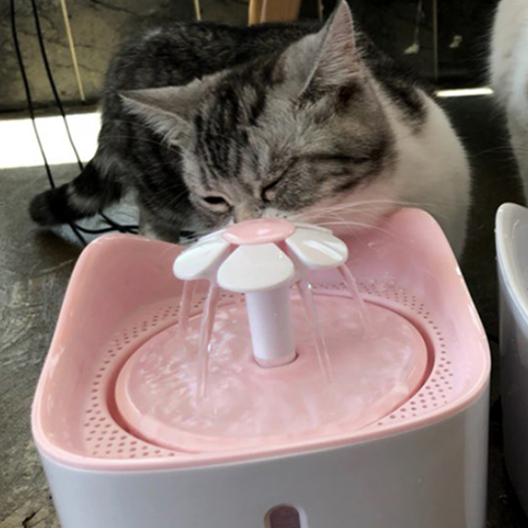 선호도 좋은 에코펫위드 강아지 고양이 정수기 1.8L, DL-P30, 핑크 ··· 선호도 좋은 에코펫위드 강아지 고양이 정수기 1.8L, DL-P30, 핑크 ···
