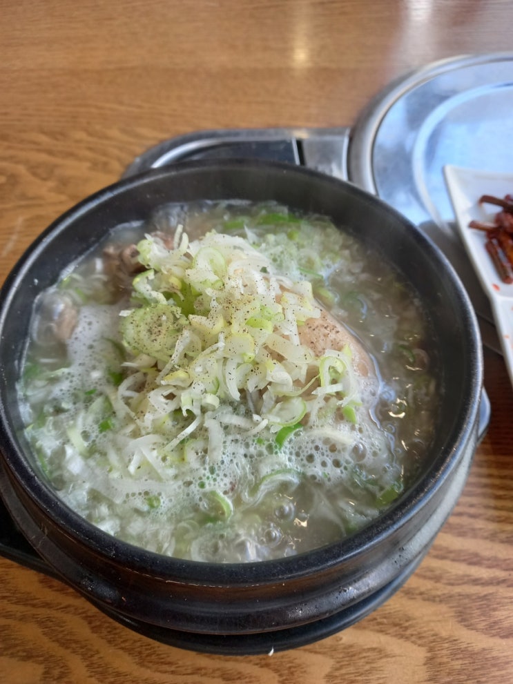  점심 삼계탕