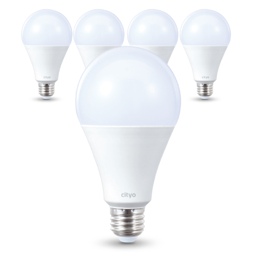 잘나가는 씨티오 LED 20W 전구, 전구색(오렌지색), 5개 추천합니다 잘나가는 씨티오 LED 20W 전구, 전구색(오렌지색), 5개 추천합니다