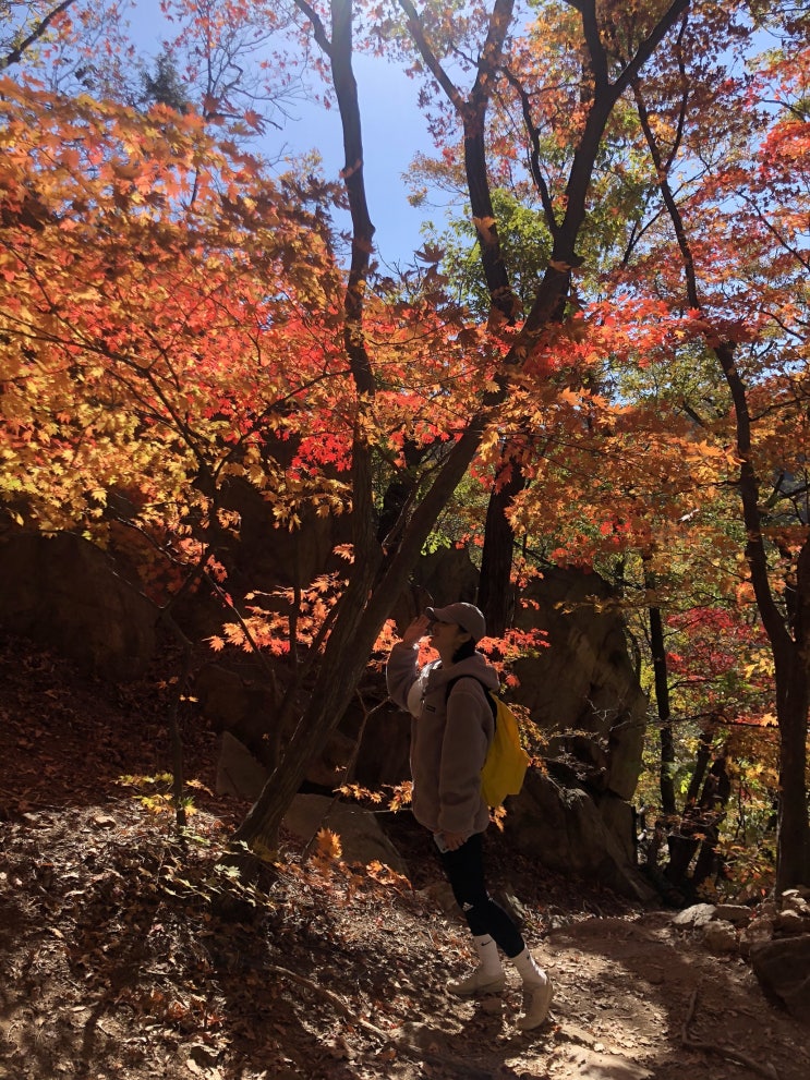서울북한산, 도봉산 | 2020 가을 단풍 등산로드 | 산타양갱 산악회의 시작 | 사랑해 가을 등산(고백)c
