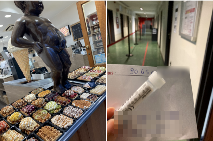 [영국워킹홀리데이] +43 파리에서 브뤼셀 이동 Flix Bus, 벨기에 PLF, 도착하자마자 Covid Test