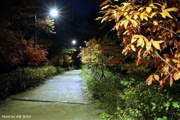 가을밤의 산책 코스, 송파둘레길 장지천길에서 탄천길까지
