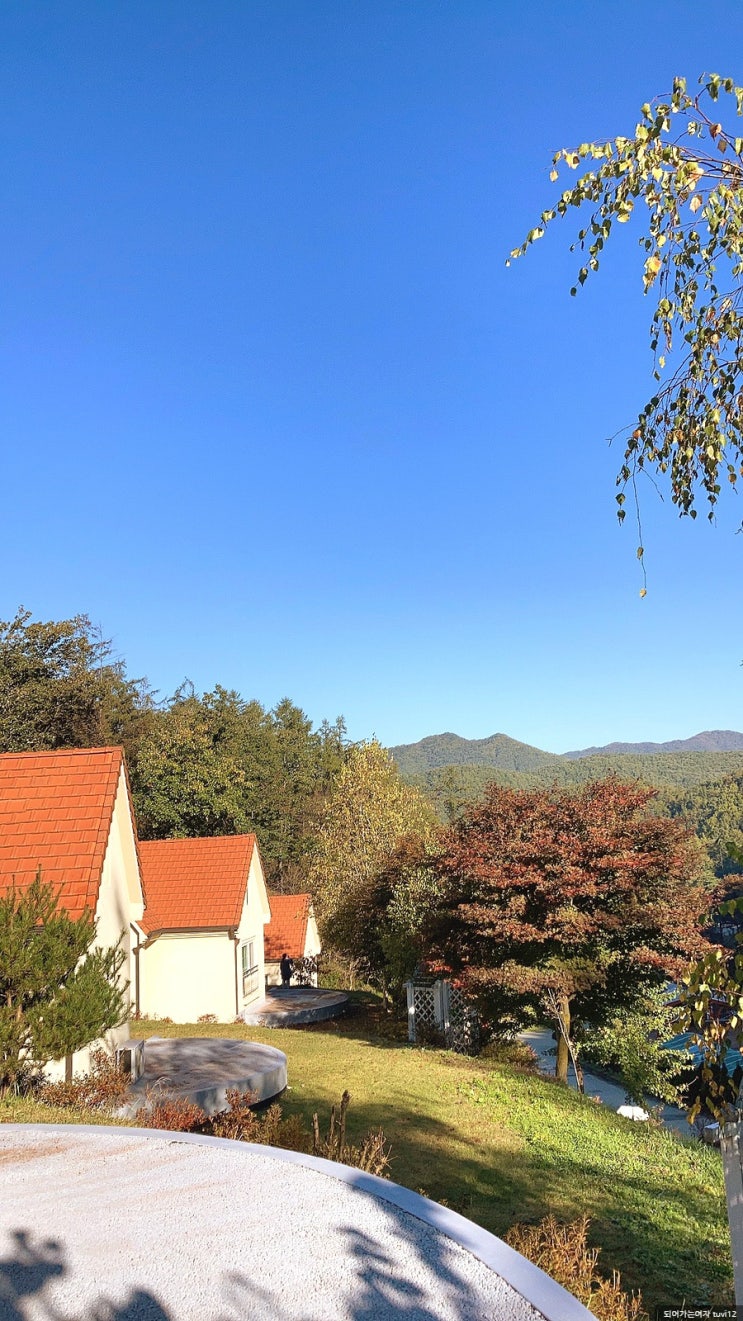  아이와 충북알프스휴양림 캠핑 다녀왔어요.