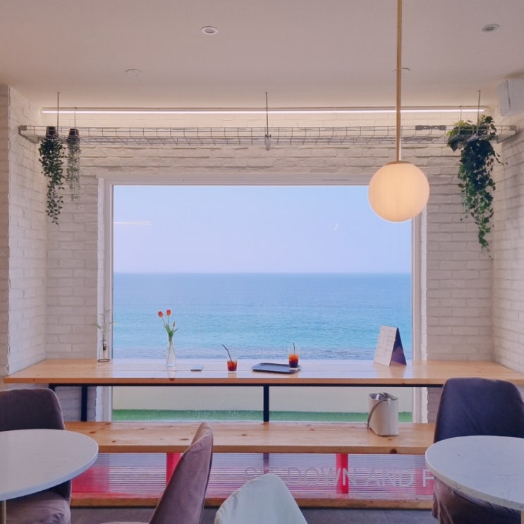 강릉 고향산천 초당 순두부 & 카페 젠주 강릉 고향산천 초당 순두부 & 카페 젠주