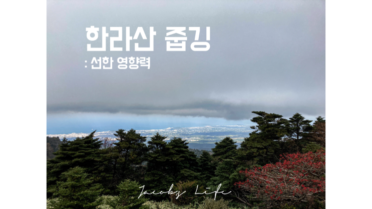  한라산 탐방과 줍깅 하기 : 선한 영향력 with 밴락스테이션