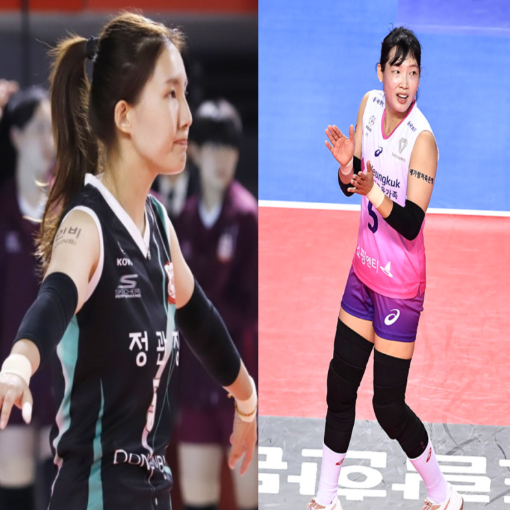 여자배구 인삼공사 흥국생명 10월28일 경기예상(이소영 노란 캣벨 김해란)