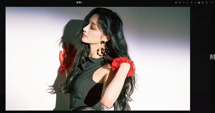  도커 이미지 추천4 : 온라인 사진 갤러리 앱 Lychee 리뷰 및 설치 방법