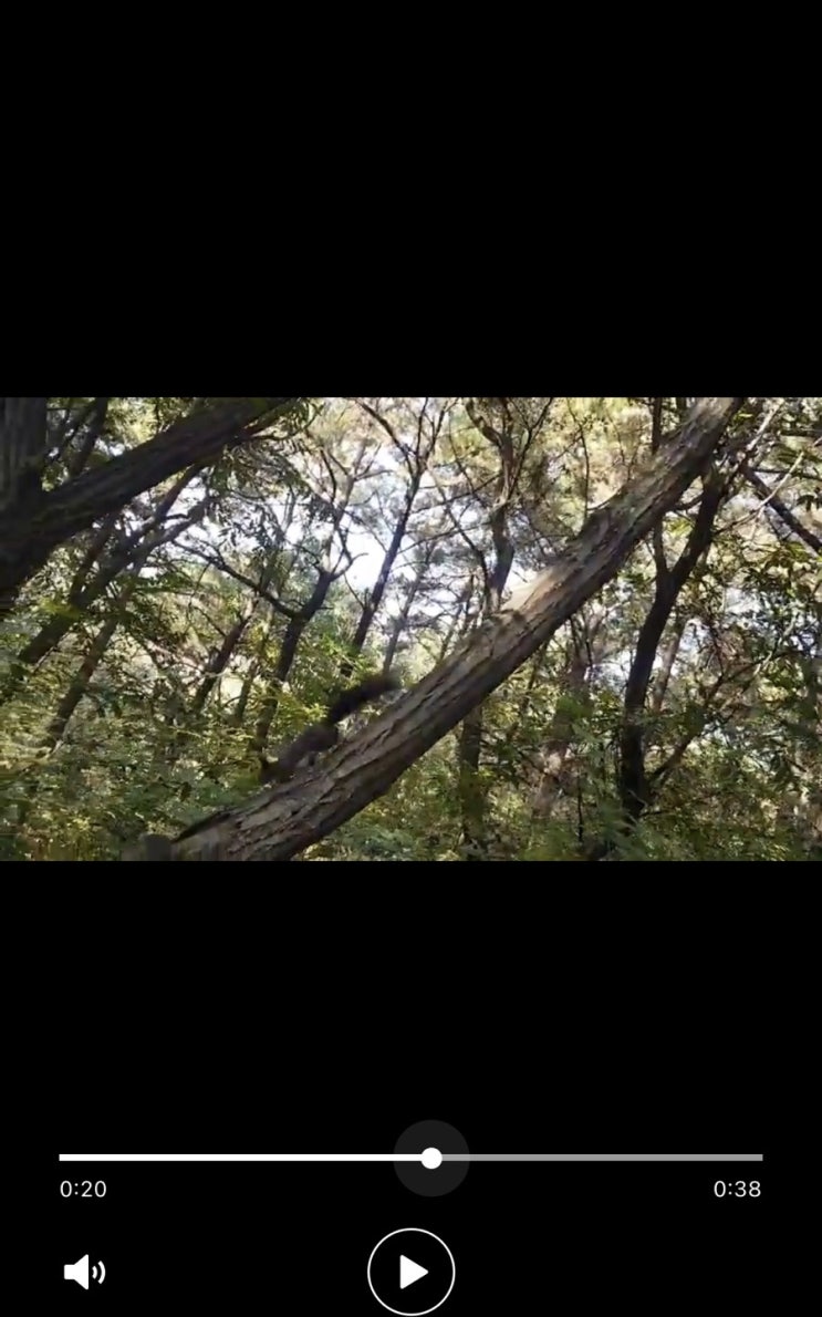 동네산책(in 일산)
