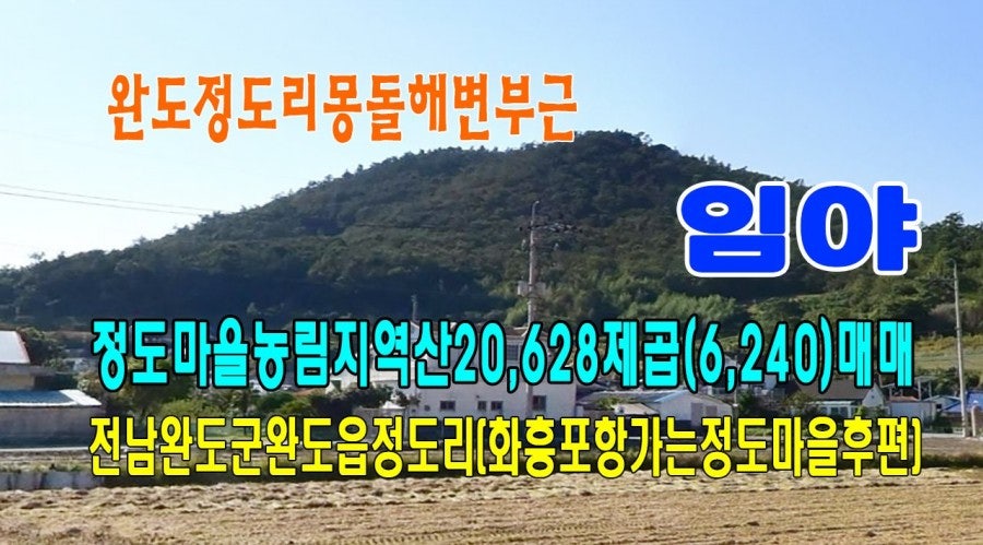정주산 사진 1