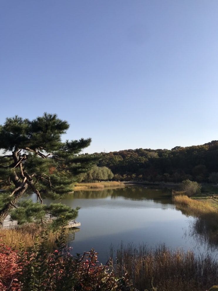  산책하기 좋은 북서울 꿈의 숲