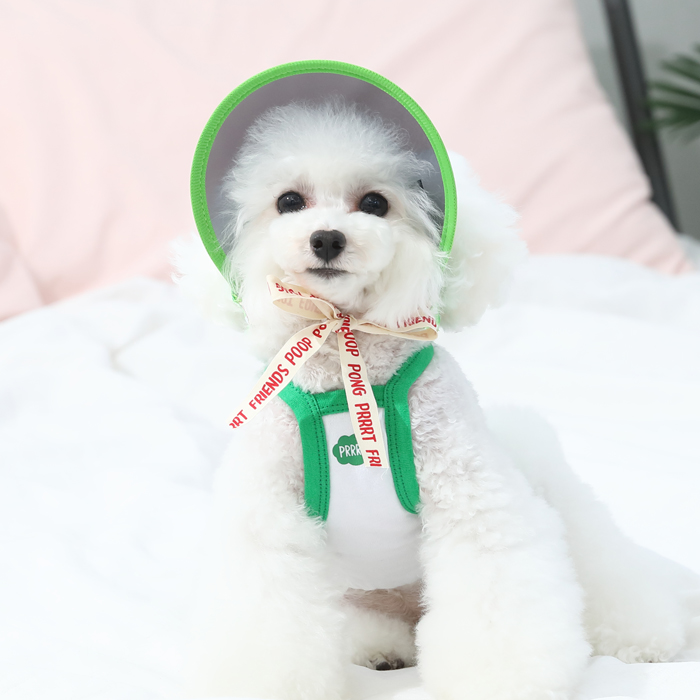 최근 많이 팔린 오드스튜디오 또또또 친구들 반려동물 썬캡, 그린 좋아요 최근 많이 팔린 오드스튜디오 또또또 친구들 반려동물 썬캡, 그린 좋아요