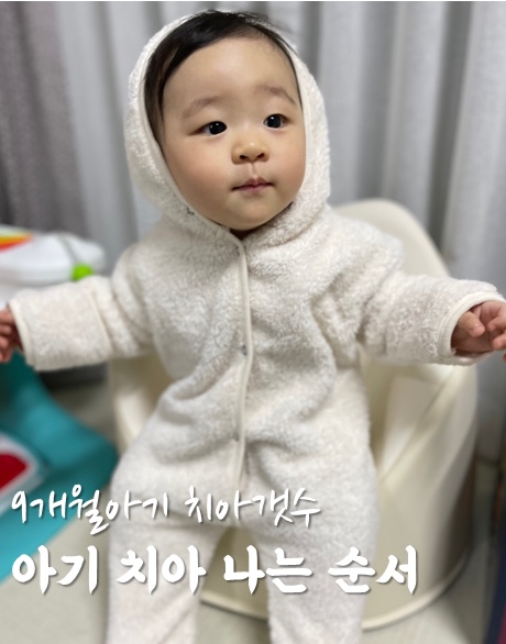  아기 이 나는 순서 첫니부터 9개월 치아갯수