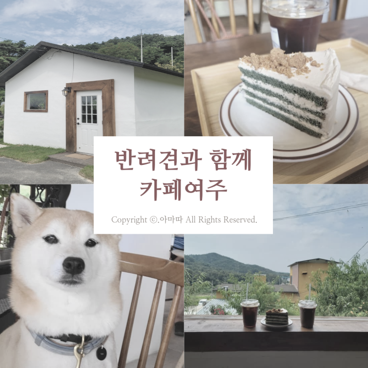  반려견 동반이 가능한 카페여주