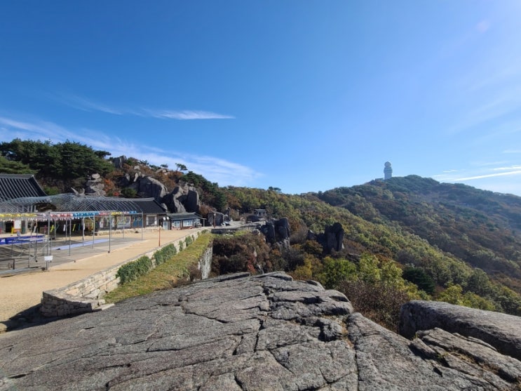  가을 단풍의 시작 (비슬산 대견사)-주차, 이용팁