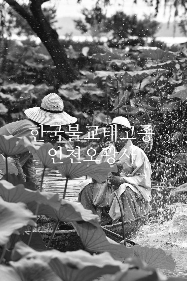  한국불교태고종 오광사 정각스님이 알려드립니다. 스님들이 나무아미타불관세음보살 이라고 하는 이유와 의미