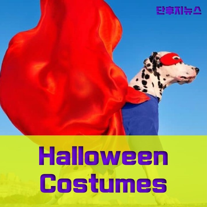 Best Dogs Halloween Costumes
