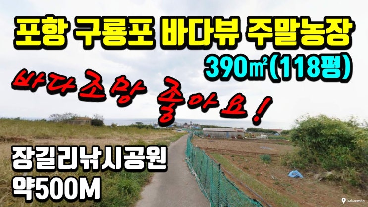 바다뷰 주말농장 포항부동산 구룡포 바닷가토지매매 390(118평)