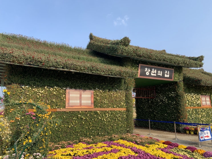  2021 창원시 마산 해양 신도시에서 열리는 마산  국화 축제 :)
