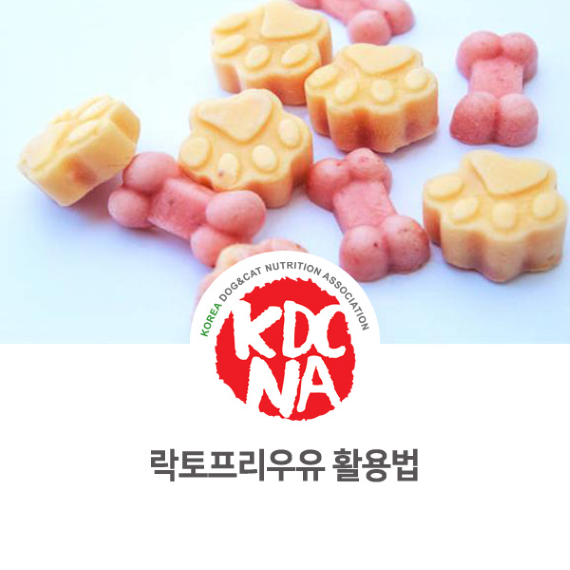 no.901 강아지 락토프리우유 활용법