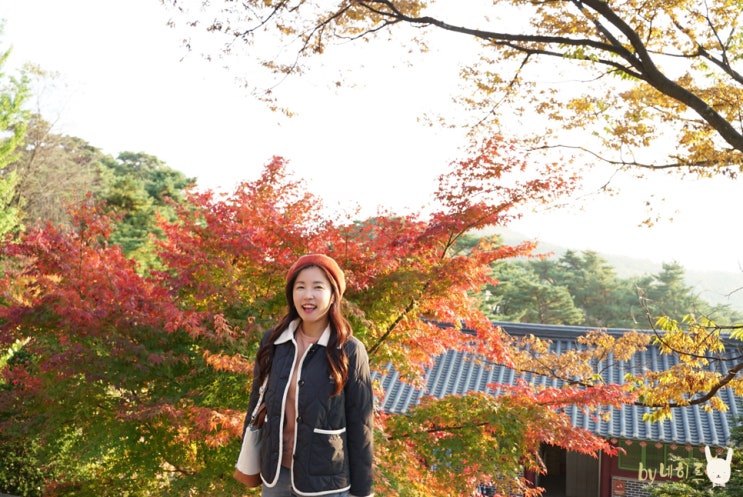  가을 여행 영주 부석사 단풍 한창이네요 :)