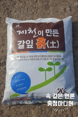  [충청미디어] 제천시, 낙엽 활용 ‘친환경퇴비 생산’ 전국 첫 사례