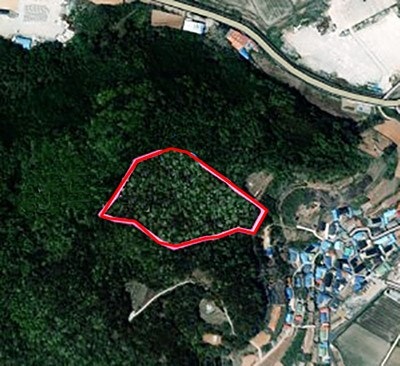 정주산 사진 2