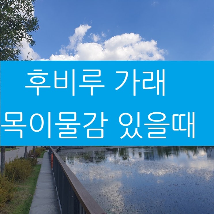  후비루 가래 목이물감 이명 귀통증이 함께 나타나면