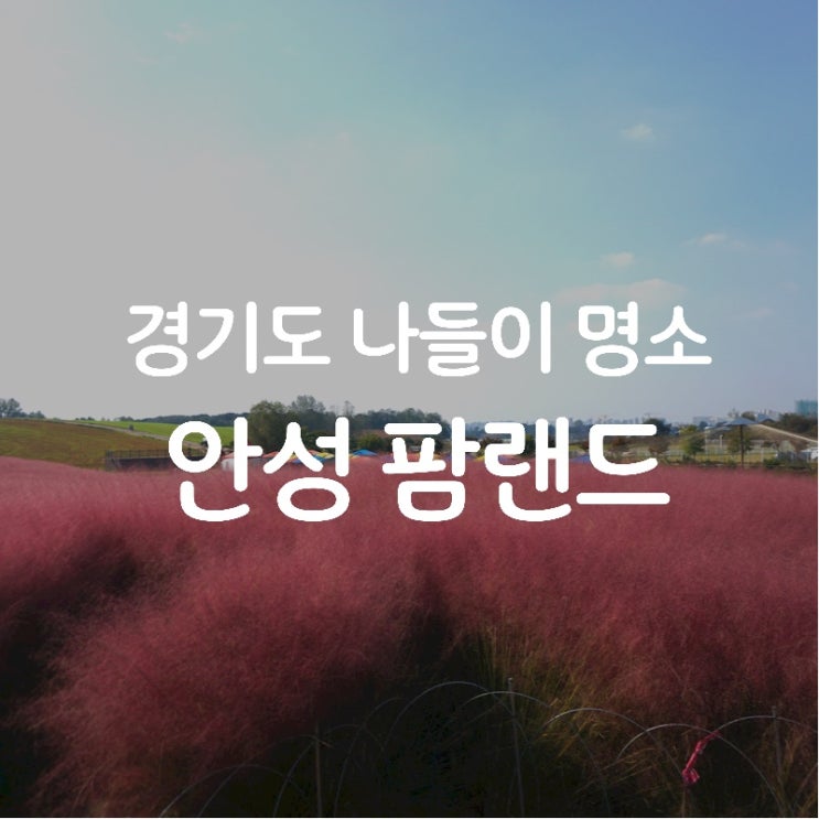  경기도 안성 가볼만한 곳! 가족 또는 연인과 함께 코로나 걱정없이 나들이를 즐길 수 있는 "안성 팜랜드" 솔직 추천 후기