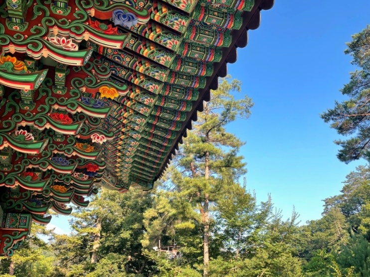 평창 여행 추천 @ 오대산 국립공원 월정사 강추 평창 여행 추천 @ 오대산 국립공원 월정사 강추