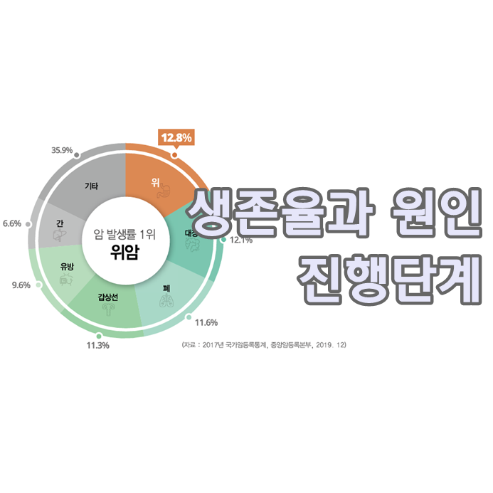  위암 생존율과 원인, 진행단계