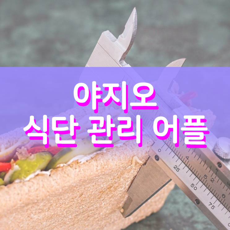 야지오 어플 통해서 식단을 관리할 수 있어요 야지오 어플 통해서 식단을 관리할 수 있어요