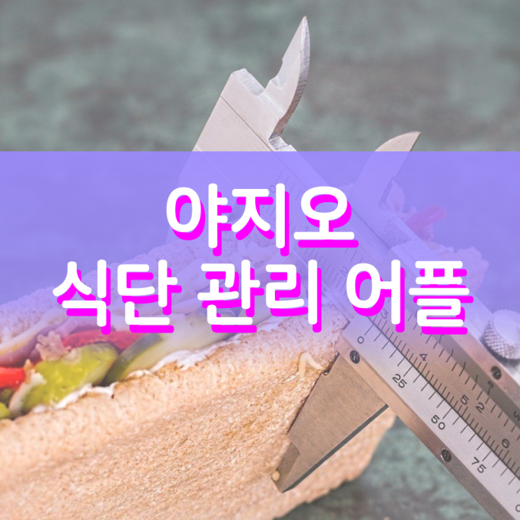 야지오 어플 통해서 식단을 관리할 수 있어요