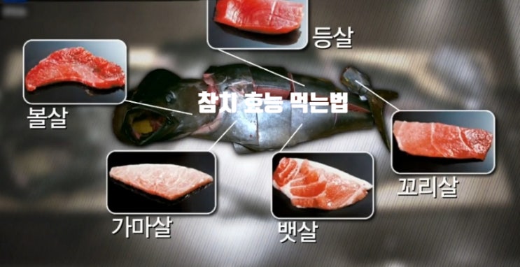  참치 영양성분 효능 (ft. 회 먹는법 부위별 설명) 뱃살은 제일 끝에 소금에 찍어서