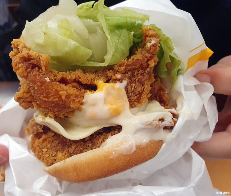  명동 츠루하시 후게쯔 + 맘스터치 동대문현대시티점 먹방 짧고 굵은 기록!