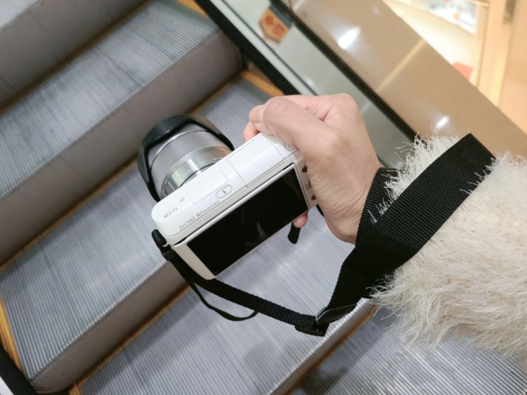 오랜만에 카메라 챙겨들고간 신세계백화점아라리오점