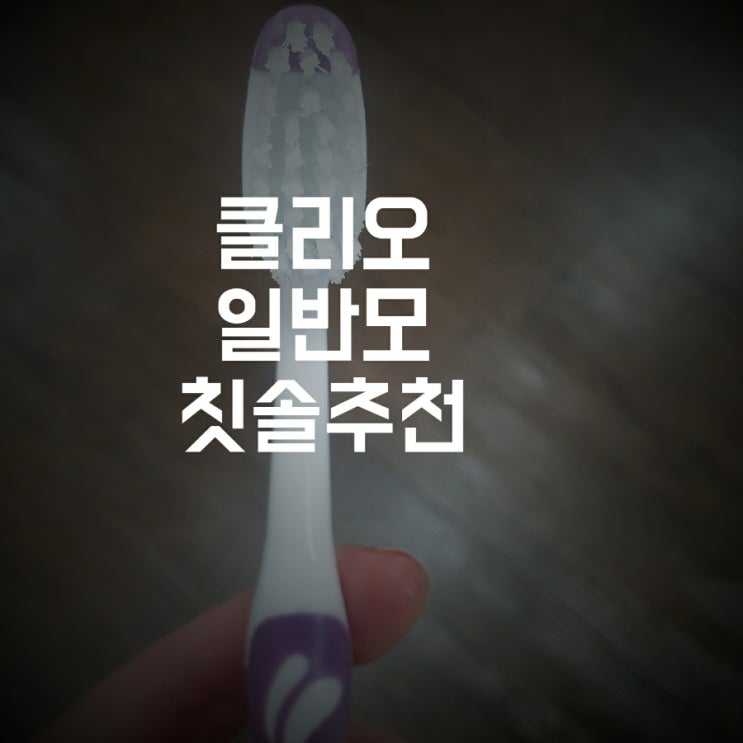  [클리오 일반모 일주일 사용기] 부드러운 칫솔추천
