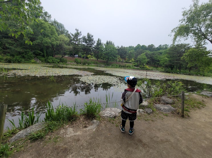  오산 물향기 수목원에서 5세 아들과 부모님 모시고 가족 나들이