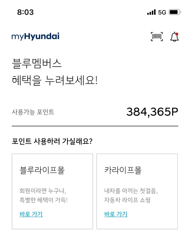  현대 블루멤버스 포인트 알뜰하게 사용하기(feat, 치킨)