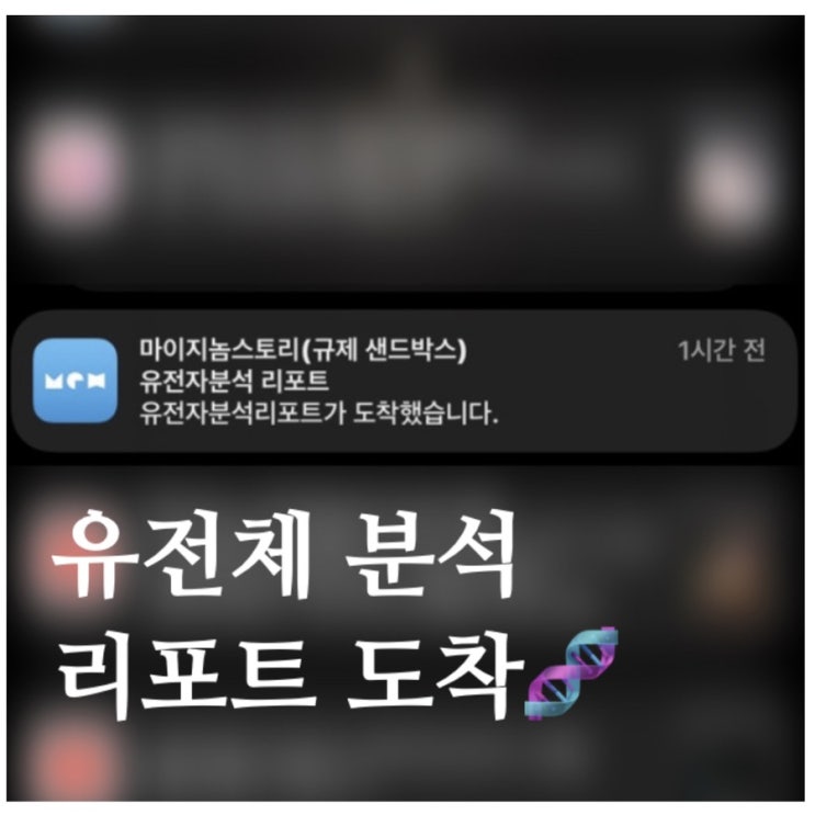  유전체분석 체험단 리포트 도착 내용은?