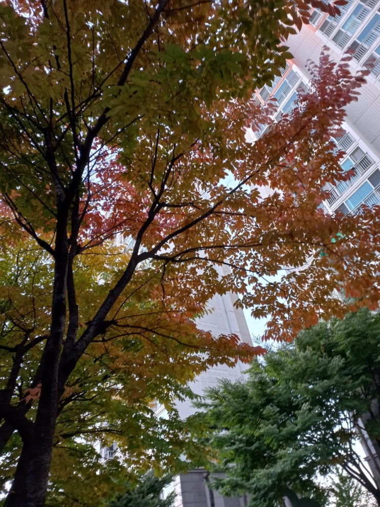  가을