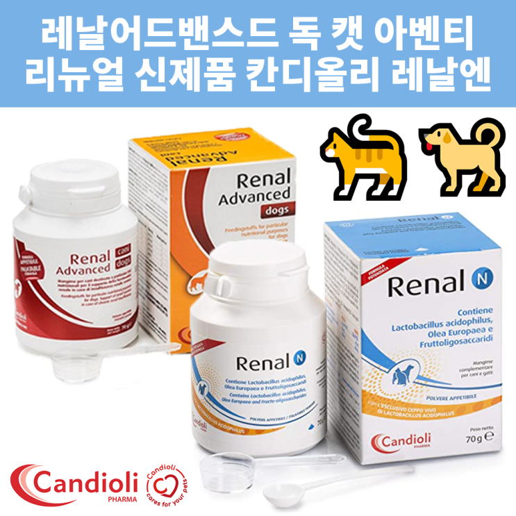  선택고민 해결 레날어드밴스드 독 캣 리뉴얼 신제품 레날엔 레날N 칸디올리 반려동물 유산균 아벤티 신장영양제 추천합니다