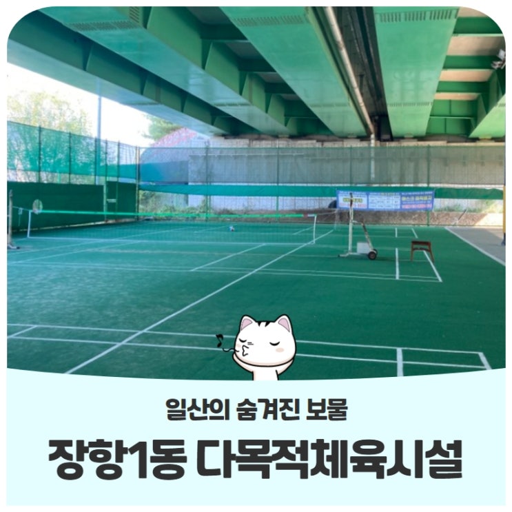 일산의 숨겨진 보물, 장항1동 다목적체육시설에서 운동해요! 일산의 숨겨진 보물, 장항1동 다목적체육시설에서 운동해요!