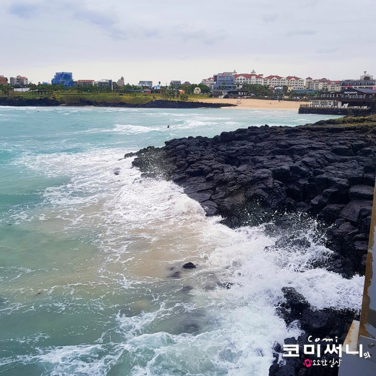 [제주 여행] 제주도 함덕 서우봉해변 함덕해수욕장 산책, 뷰 좋은 함덕 카페 델문도 &gt; 제주 2일차 여행 코스