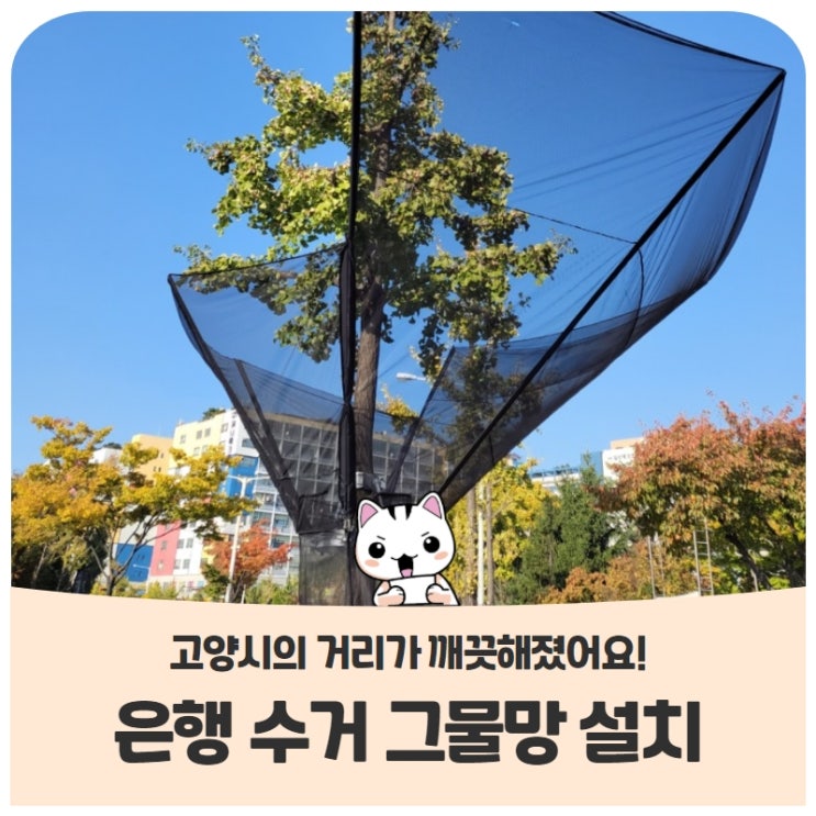 은행 수거 그물망 설치, 고양시의 거리가 깨끗해졌어요! 은행 수거 그물망 설치, 고양시의 거리가 깨끗해졌어요!