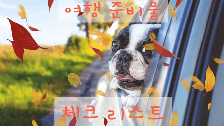  여행 가기 전 마지막 날, 해외여행 준비물 체크 리스트 확인! 그리고 인천국제공항 청사 정보 확인을~